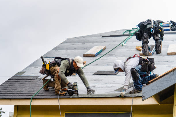 Professional Roofing technician working in Palo, IA
